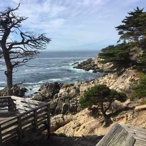 Meet your Posher, Barbara